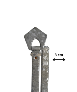 Alternative view of Correa pentagono print plata